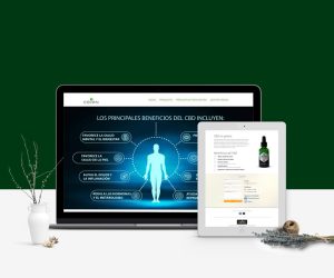 diseño de landing page